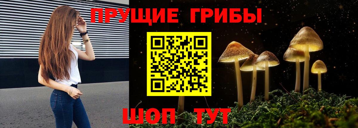 закладки  Псилоцибиновые грибы Magic Shrooms  Галлюциногенные грибы мицелий  Вход с VPN  Чернушка 